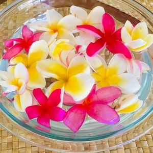 Closed for Re-Inventory - Will reopen end of November 2023